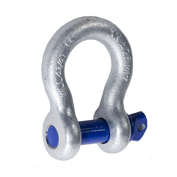 Tested Screw Pin Bow Shackle